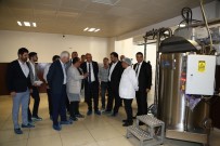 MUHARREM KıLıÇ - ATO Başkanı Baran, Çikolata Fabrikasını Ziyaret Etti
