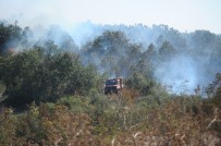 Bursa'da 5 Hektarlık Alan Küle Döndü