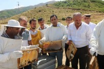Siirt'te Yılın İlk Balı Toplandı