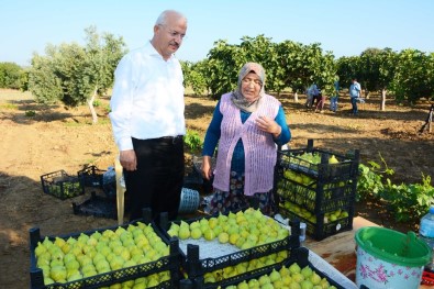 Başkan Görmez'den Vali Ayyıldız'a İncir Festivali Daveti