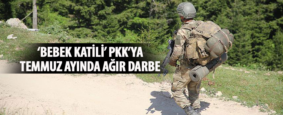 'Bebek katili' PKK'ya temmuzda ağır darbe