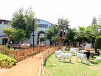 RAUF DENKTAŞ - Manavgat Kent Müzesi Açılıyor