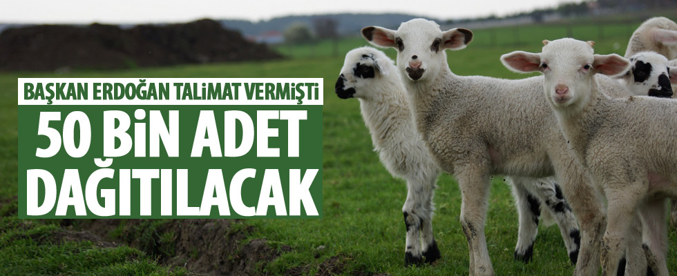 Bayramdan sonra başlıyor