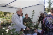 EVLİYA ÇELEBİ - Kütahya Belediyesi'nden Örnek Hizmet