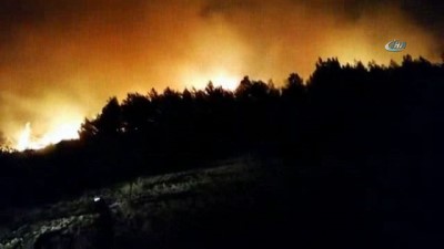 Manisa'da Ormanlık Alanda Yangın Çıktı