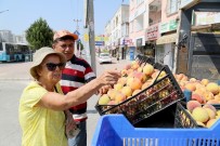 PAZARCI - Mezitli'de Şeftaliler Üreticiden Direk Tüketiciye Ulaşıyor