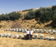 TANDOĞAN - Van'da Çifte Bayram