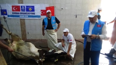 Balkanlara Kardeş Eli