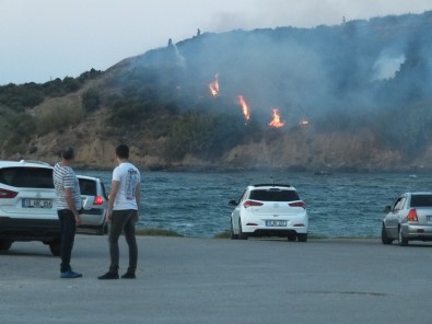 Bandırma'da Arazi Yangını
