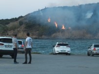 İÇKİ ŞİŞESİ - Bandırma'da Arazi Yangını