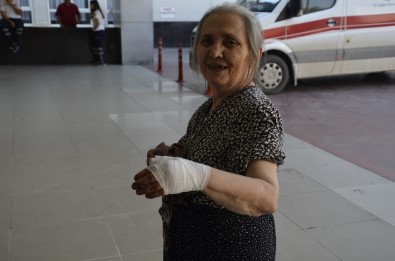 Denizli'de Acemi Kasaplar İş Başında