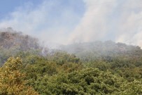 TOYGARLı - Kastamonu'da Çıkan Orman Yangını Helikopter İle Söndürüldü