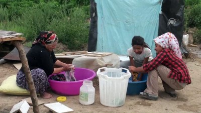 Mevsimlik Tarım İşçileri Bayramı Tarlada Geçiriyor