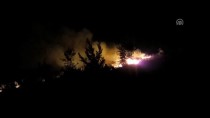 Trabzon'da Makilik Alanda Yangın