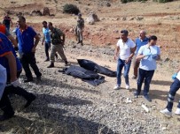 Bingöl'deki Feci Kazada Ölü Sayısı 6'Ya Yükseldi