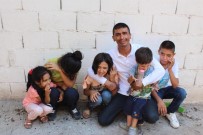 KALP HASTASI - Kirasını Ödeyemedi, Ev Sahibi Evini Yaktı