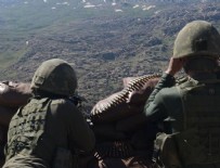 Kırmızı kategoride aranan PKK'lı terörist etkisiz hale getirildi Haberi