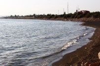 VAN GÖLÜ - (Özel) Van Gölü'nde Su Seviyesi 2 Metre Yükseldi