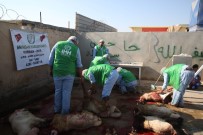 ZEYTIN DALı - Suriye'de Kesilen 5 Bin 357 Hisse Kurban İhtiyaç Sahiplerine Dağıtılıyor