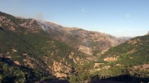 Tunceli'de Ormanlık Alanda Yangın