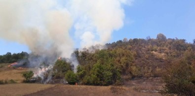 Bartın'da Ormanlık Alanda Çıkan Yangın Söndürüldü