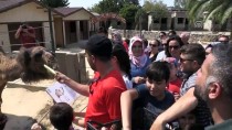 FARUK YALÇIN HAYVANAT BAHÇESİ - 'Canlı Gen Bankası' Bayram Ziyaretçilerini Ağırlıyor