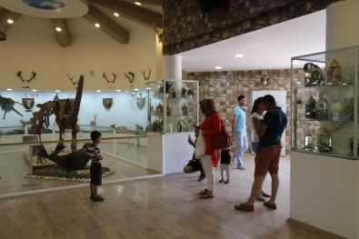 Gaziantep Zooloji Ve Doğa Müzesi'ne Yoğun İlgi