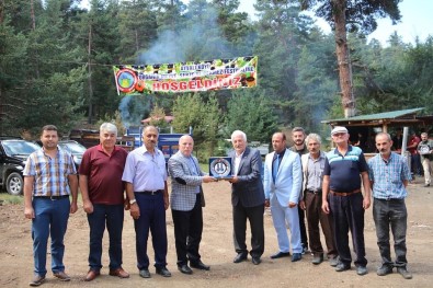 Ayvalı Da Festival Coşkusu