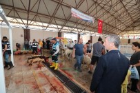 ŞAHINBEY BELEDIYESI - Başkan Tahmazoğlu Kurban Kesim Yerlerini İnceledi