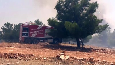 GÜNCELLEME - Şanlıurfa'da Orman Yangını