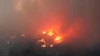 ORMAN ARAZİSİ - Kastamonu'da Orman Yangını