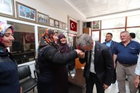 ŞEHİT ANNELERİ - Şehit Aileleri Ve Gaziler Unutulmadı