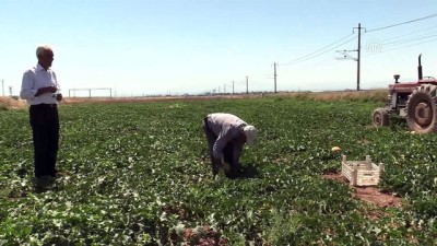 Yazıhan Ovası'nda Su Bereketi