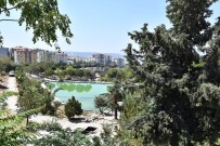 ŞELALE - Yedigöller Yeniden Doğuyor