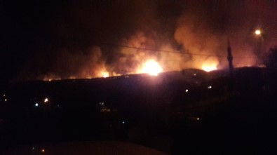 Kastamonu'da Ormanlık Alanda Çıkan Yangın Devam Ediyor