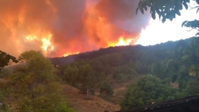 Kastamonu'da Ormanlık Alanda Çıkan Yangın Kontrol Altına Alındı