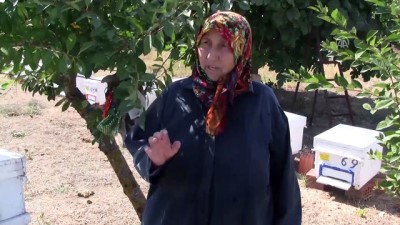 Manyas'ta Zamansız Yağış Bal Verimini Düşürdü
