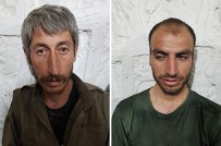 Şırnak'ta 2 PKK'lı Terörist Yakalandı