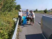 Su Samuru Karayolunda Ezilerek Telef Oldu