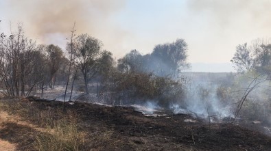 İznik'te Sazlık Yangını