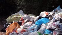 Muğla'da Tatilciler Gitti Çöpleri Kaldı