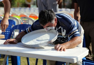 Ormana Üzüm Festivali'nde Renkli Görüntüler