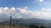 LAZKİYE - Suriye Sınırında Orman Yangını