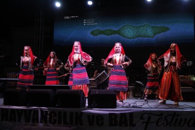 14. Çerkeş Kültür, Hayvancılık Ve Bal Festivali