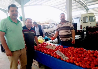 Bilinçli Üretim Yapan Domates Üreticisi Fungal Hastalığından Etkilenmedi