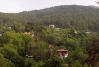 FATİH PORTAKAL - Fatih Portakal Denizi Değil Yeşili Seçti