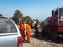 KAÇAK AVCI - Hatay'daki Orman Yangını 37 Saatte Söndürüldü