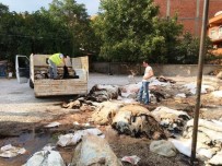 Hisarcık THK Deri Gelirini İkiye Katladı