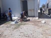 THK, Akseki'de 2 Bin 618 Deri Topladı