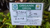 ALİ DUMAN - Burhaniye Organik Tarım Merkezi Oluyor